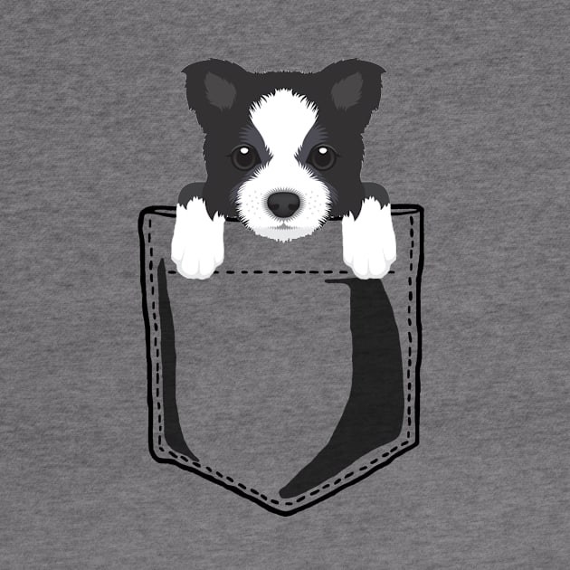 Pocket Border Collie by JKA